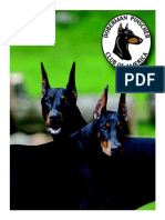 Doberman History