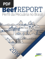 Relatorio ABIEC 2019.pdf