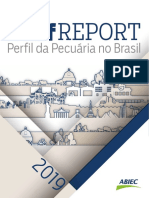Relatorio ABIEC 2019.pdf