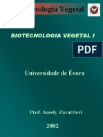 Micropropagação.pdf