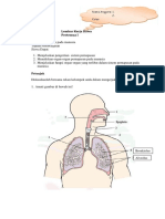 Lembar Kerja Siswa Pertemua I PDF