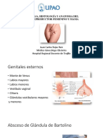 Embriología, Histología y Anatomía Del