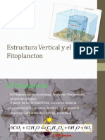 5. Estructura Vertical y Productividad Del Fitoplancton