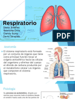 Sistema Respiratorio Intro