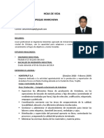 Curriculum Vitae