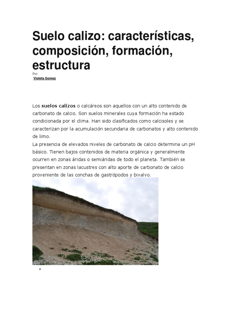 Características del Suelo Calizo | PDF | Caliza | Suelo