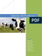 Informe de Problema 2v