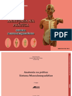 LIVRO - anatomia.pdf