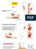 Anatomia Con Referencia Clinica