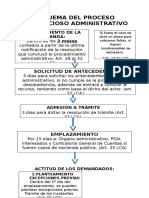 314490753-Esquema-Del-Proceso-Contencioso-Administrativo.pdf