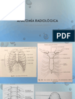 Anatomía Radiológica Torax 