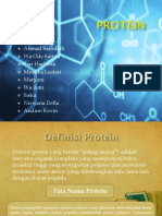 Protein