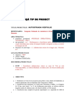 47818579 Strategii de Firma Studiu de Caz Dacia Duster.doc
