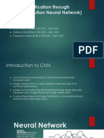 Image Classification Through CNN (Convolution Neural Network)