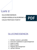 Curs 3 GNG-C. Pentozo-Fosfat - C. Glucuronica 2017-Final