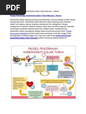 Proses Pencernaan Karbohidrat Dalam Tubuh Manusia Skema