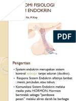 anfis-sist-endokrin%20A.pptx