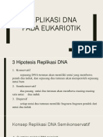 Replikasi Dna Pada Eukariotik