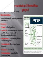 Ppt Streptococus b Hemo Group A