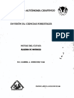 Notas Del Curso Algebra Matrices 1998 PDF