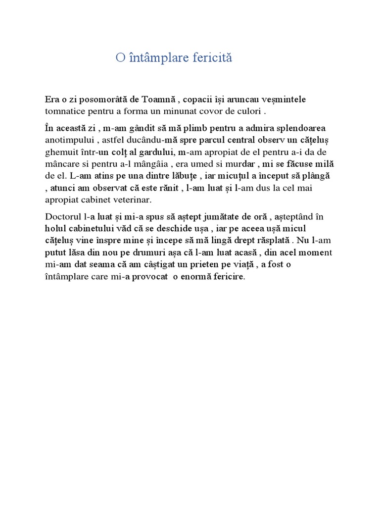 compunere cu o intamplare fericita