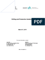 Drilling and Production Guidelines PDF