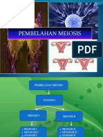 PPT Meiosis