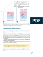 Luce PDF