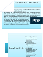 CAMBIOS-DE-LA-FORMA-DE-LA-CABEZA-FETAL.pptx