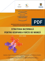 Strategia Nationala Ocupare Forta Munca 2018 PDF