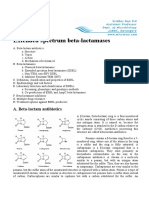 Extended Spectrum Beta-Lactamases: A. Beta-Lactam Antibiotics