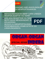 Organ Organ Indera