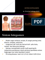 Sistem Integumen DR - Christian