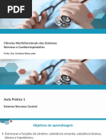 slide sistema nervoso