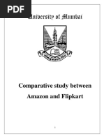 Flipkart & Amazon Project PDF