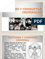 4.perfiles Delincuenciales