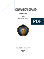 Laporan Magang 2018 pdf.pdf