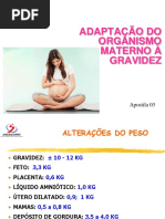 Alteracoes Fisiologicas Na Gravidez