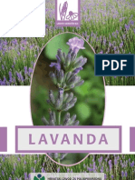 lavanda_brošura sadnja