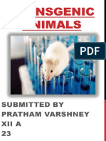 Transgenic Animals: Submitted by Pratham Varshney Xii A 23