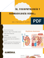 Fisiologia Renal