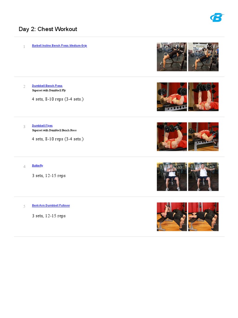 Chest Workout Routine: Day 2 Exercises | PDF