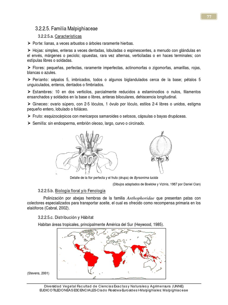 Características de Malpighiaceae | PDF | Horticultura y jardinería ...