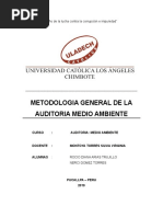 Auditoria Medio Ambiente