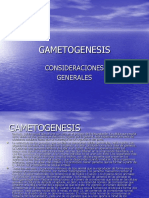 GAMETOGENESIS