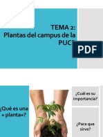 Plantas de La PUCP