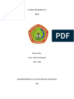 Bblr-Distrodoc PDF