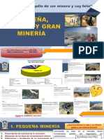 Pequeña, Mediana y Gran Minería (Autoguardado)