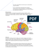 El Cerebro Humano Tiene Mayor Capacidad de Memoria Que La Computadora Más Poderosa Que Se Haya Inventado