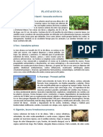 283257922-Plantas-Nativas-de-Ica.docx